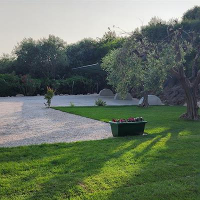 Immobiliare Speri | Affitti - Un angolo di paradiso tra ulivi e natura - 
