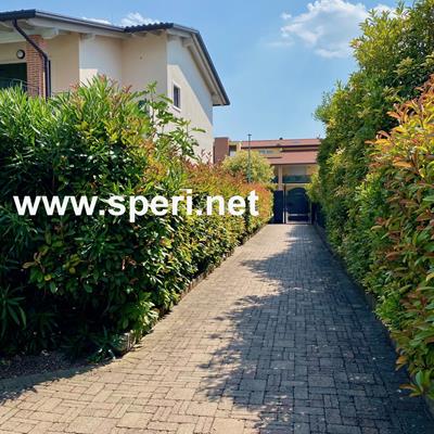 Immobiliare Speri | Verkauf - Erdgeschosswohnung mit privatem Garten - 