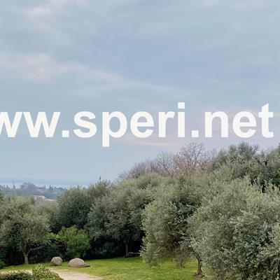 Immobiliare Speri | Affitti - Un angolo di paradiso tra ulivi e natura - 